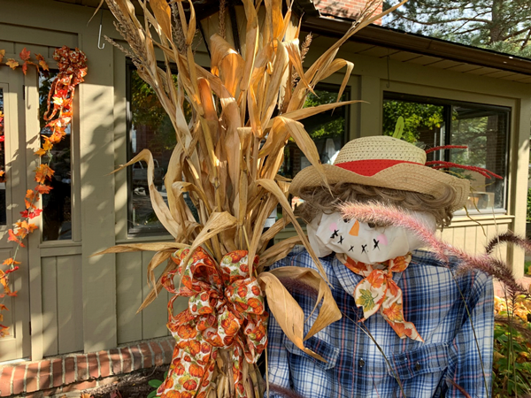 Fall Clean Up Time